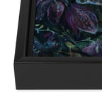 Atlas Moth  Mushroom Night Framed Canvas Print Gallery Image 3