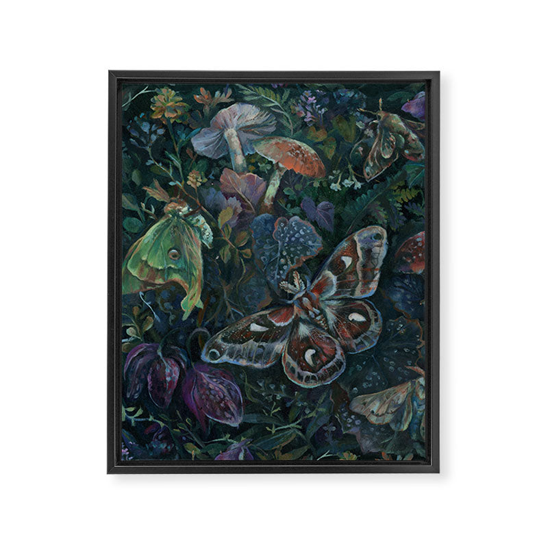 Atlas Moth  Mushroom Night Framed Canvas Print Gallery Image 8