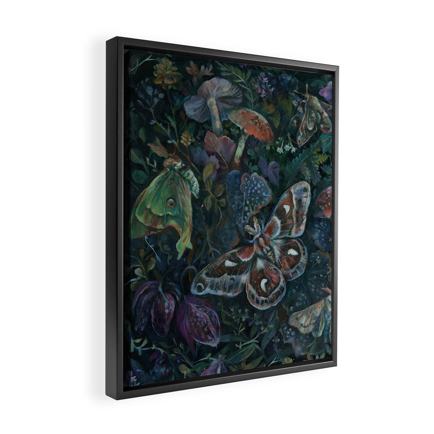 Atlas Moth  Mushroom Night Framed Canvas Print Gallery Image 2