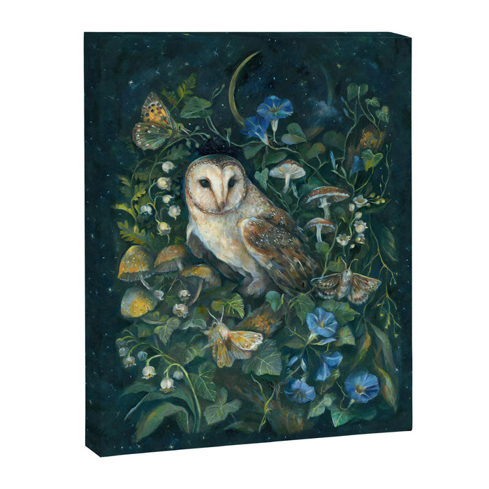 Barn Owl Forest Canvas Print Gallery Image 1