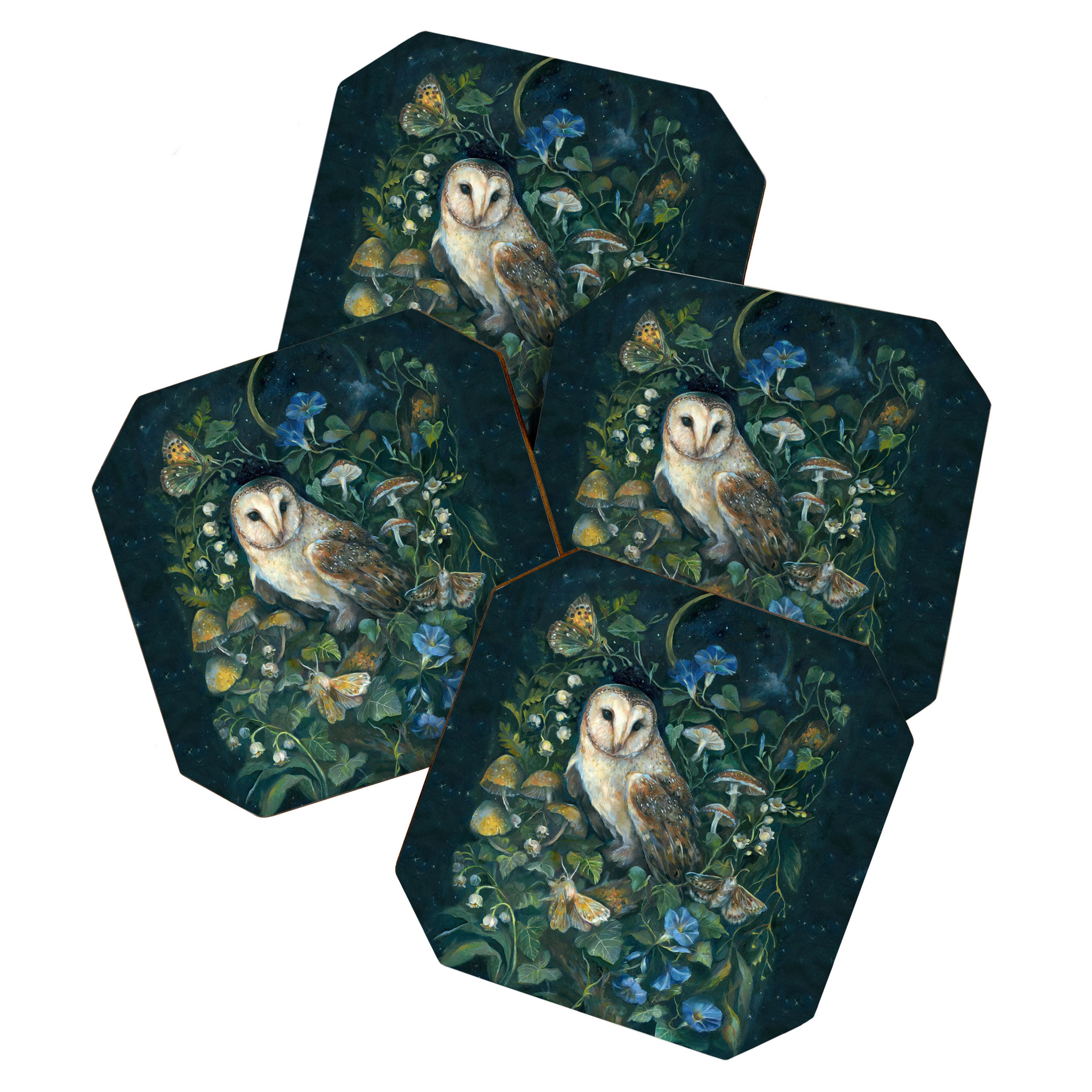 Barn Owl Forest Coaster Gallery Image 1