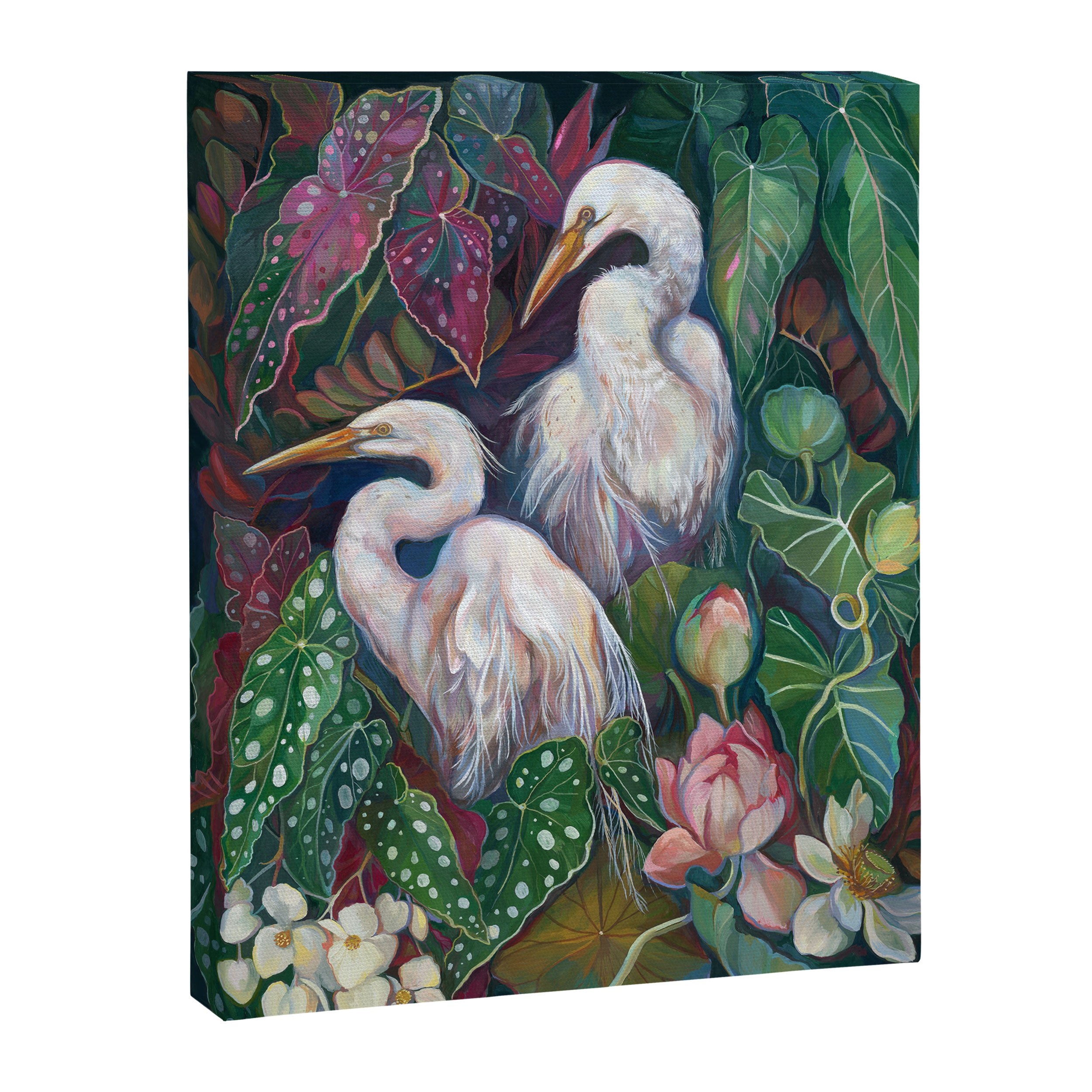 Begonia Egret  Canvas Print Gallery Image 8
