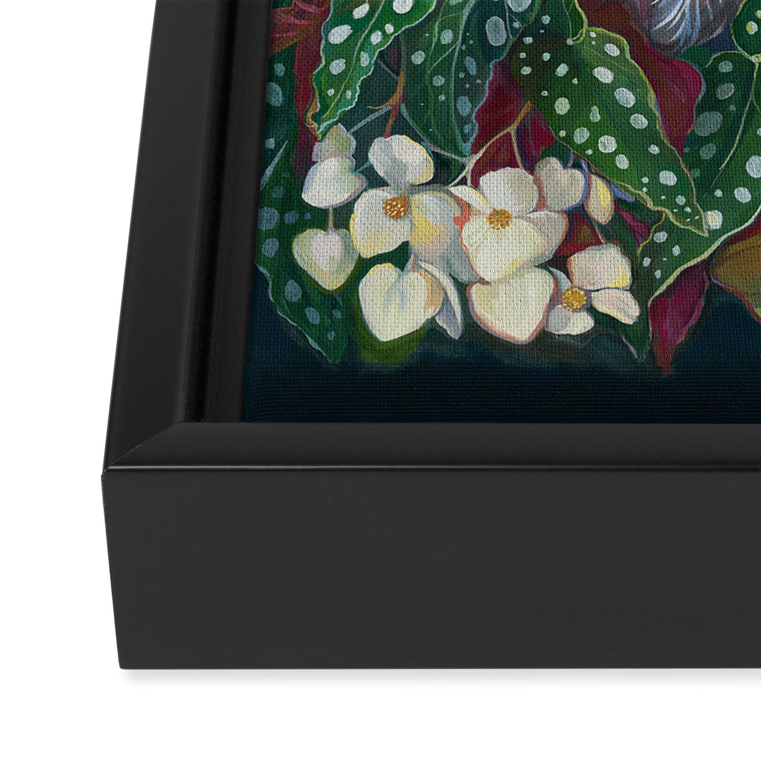 Begonia Egret  Framed Canvas Print Gallery Image 3