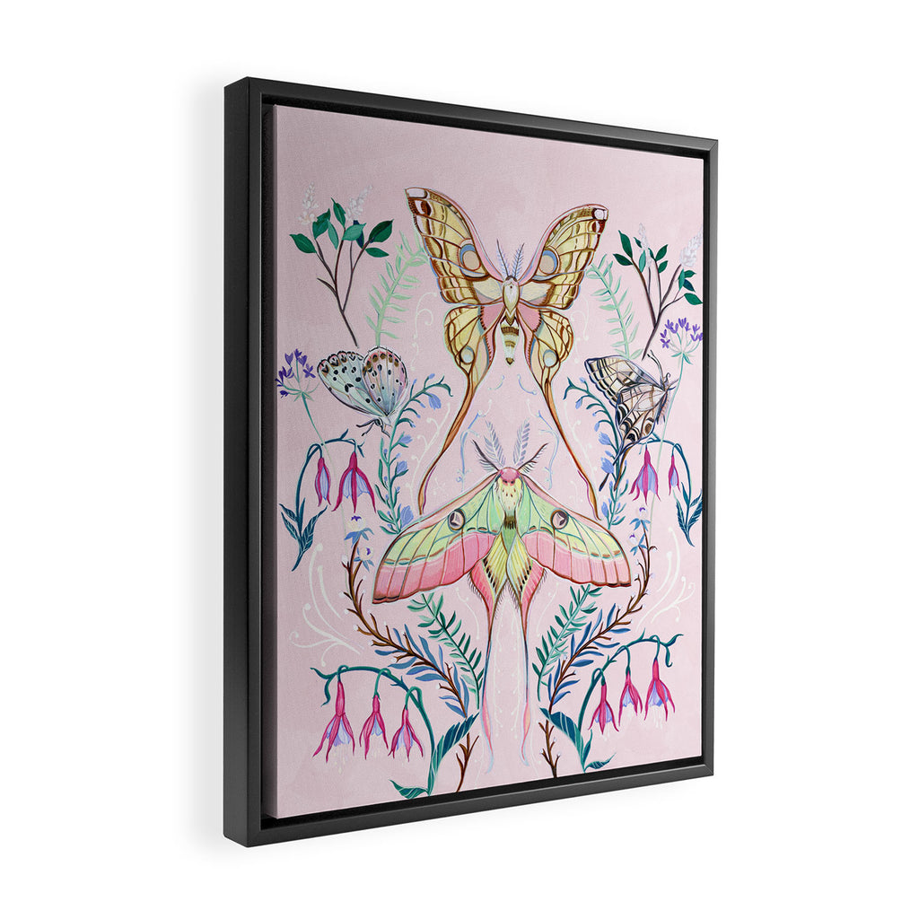 Chinese Moon Moth and Butterflies Framed Canvas Print Gallery Image 2
