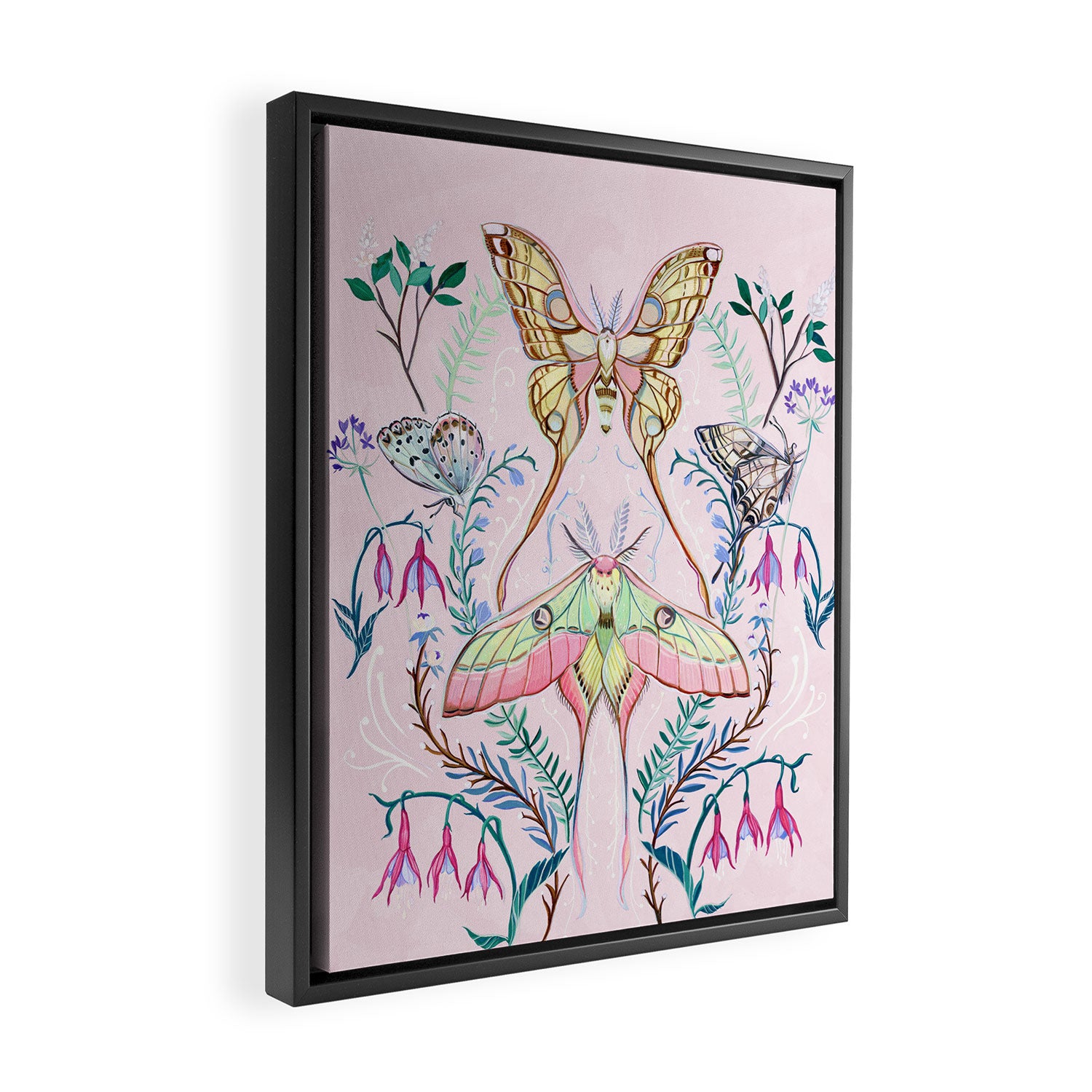 Chinese Moon Moth and Butterflies Framed Canvas Print Gallery Image 2