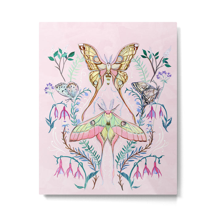 Chinese Moon Moth and Butterflies Metal Print Gallery Image 1