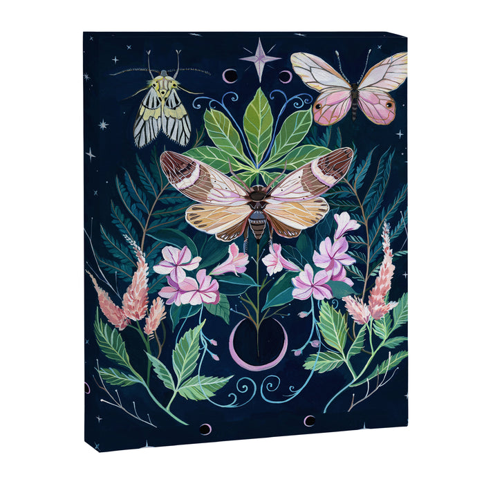 Cicada Moon Canvas Print Gallery Image 1