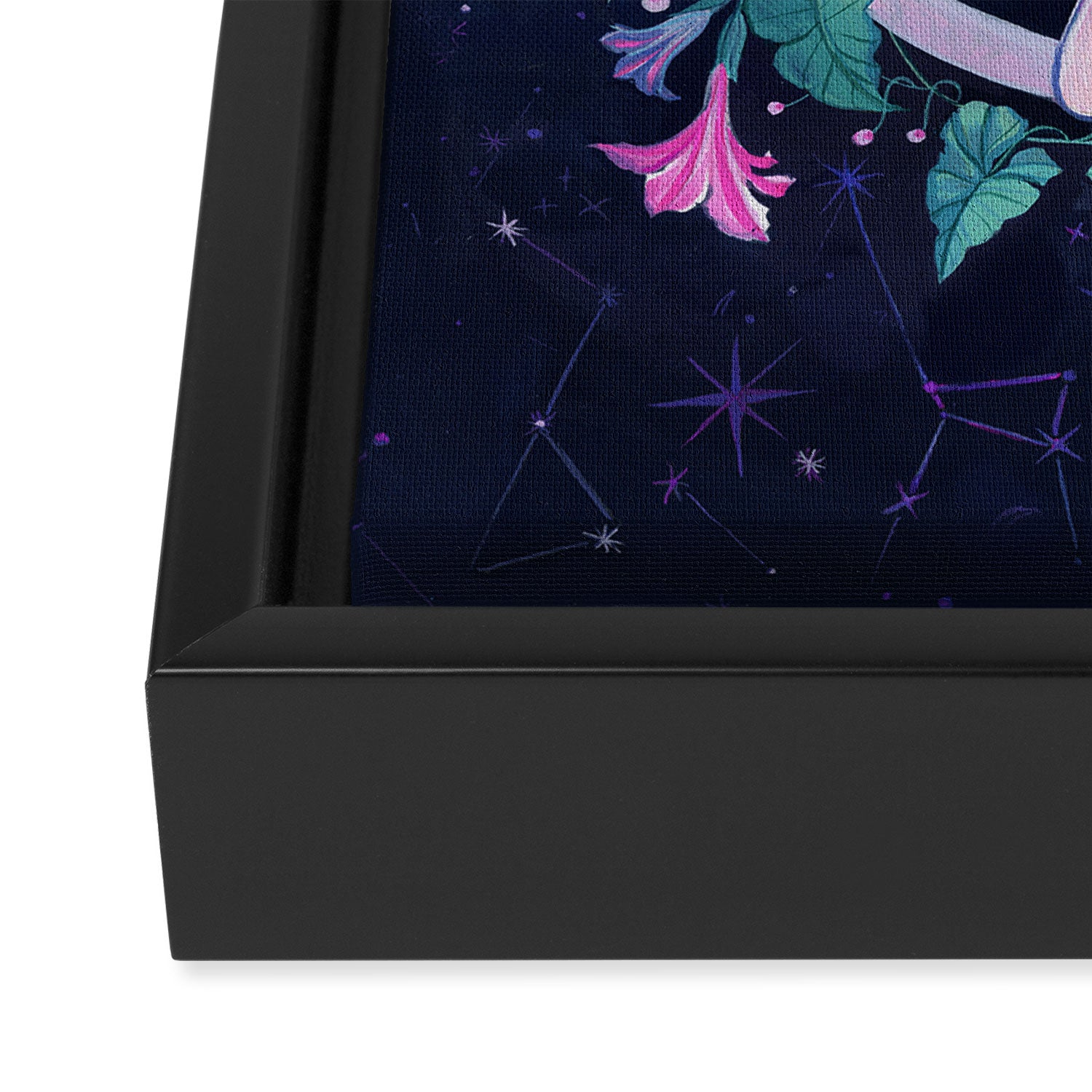 Cosmic Fox Framed Canvas Print Gallery Image 3
