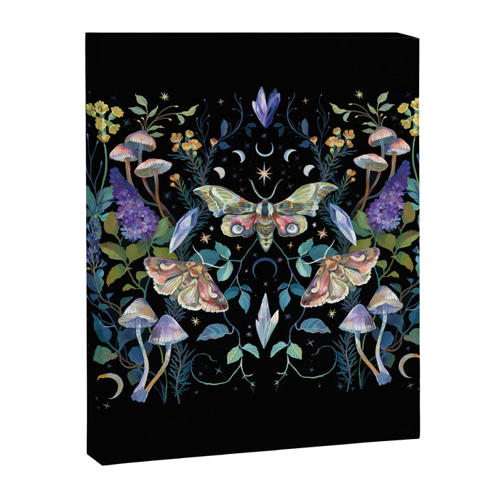 Crystals Moth Mushrooms Canvas Print Gallery Image 1