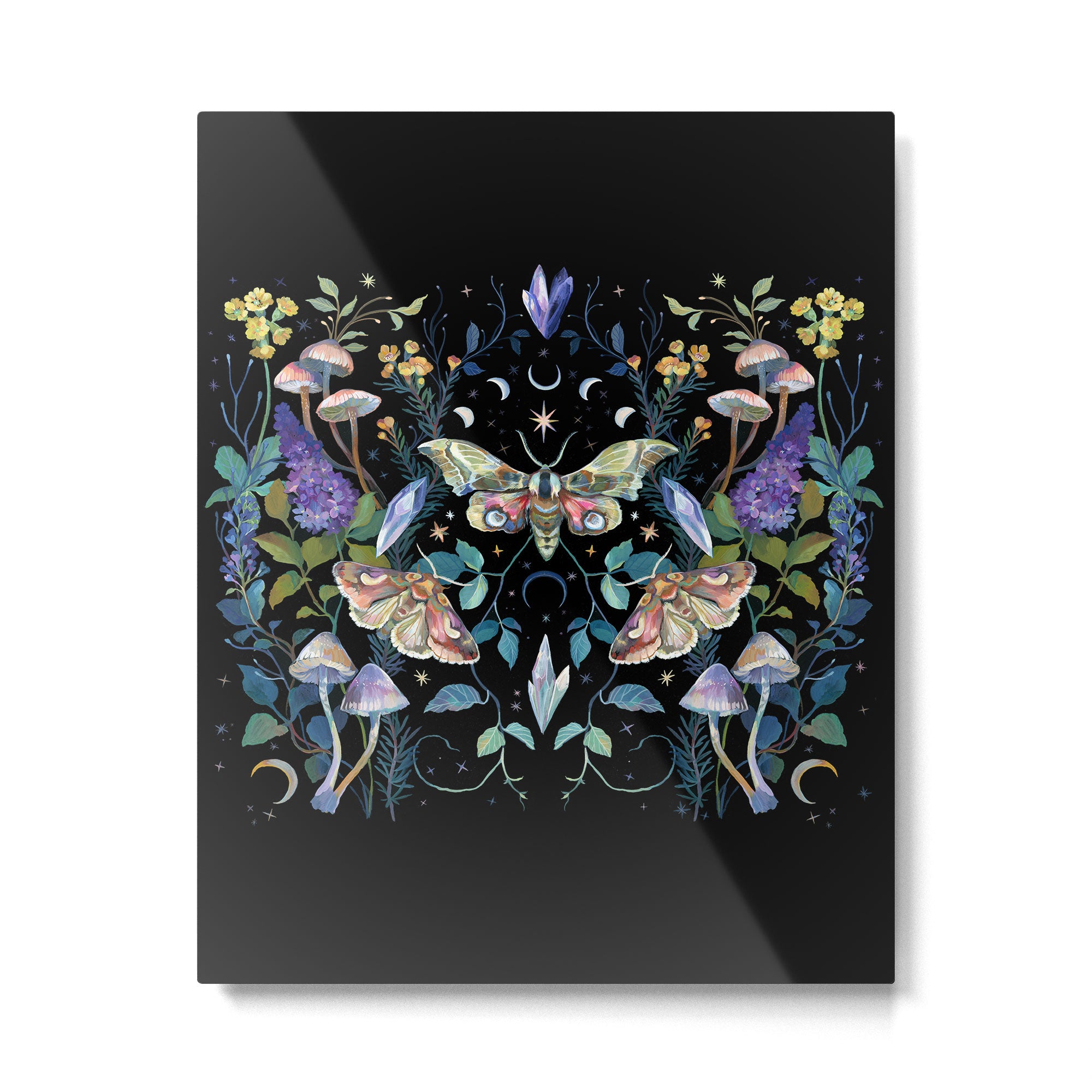 Crystals Moth Mushrooms Metal Print Gallery Image 6