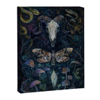 Death Moth Goat Skull Canvas Print Gallery Image 8