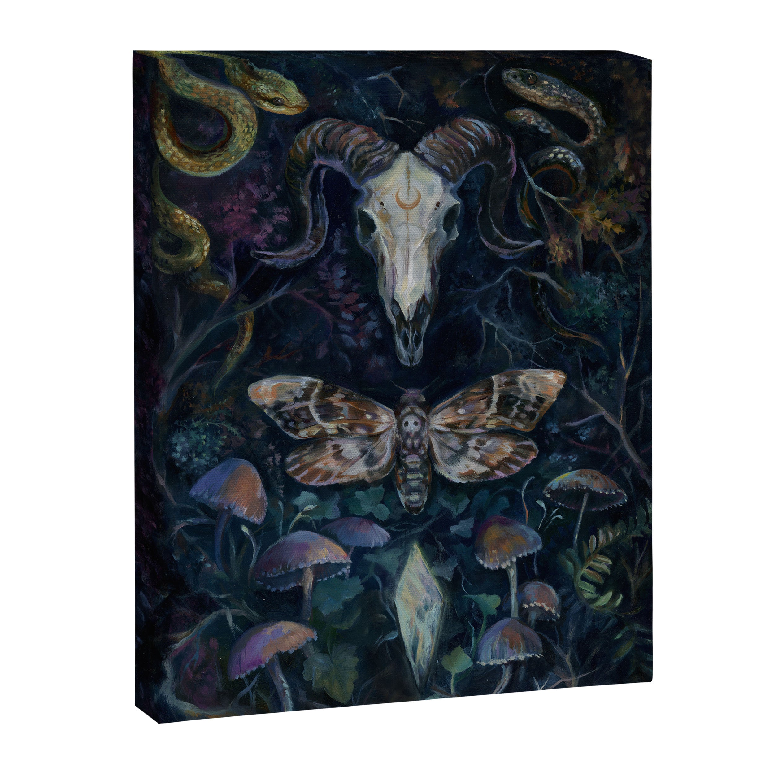 Death Moth Goat Skull Canvas Print Gallery Image 8