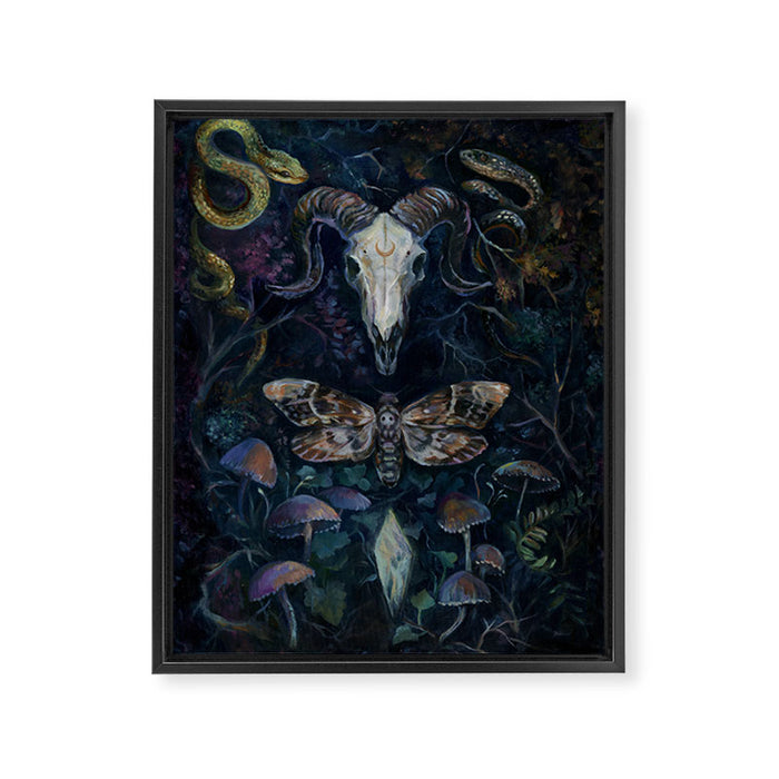 Death Moth Goat Skull Framed Canvas Print Gallery Image 1