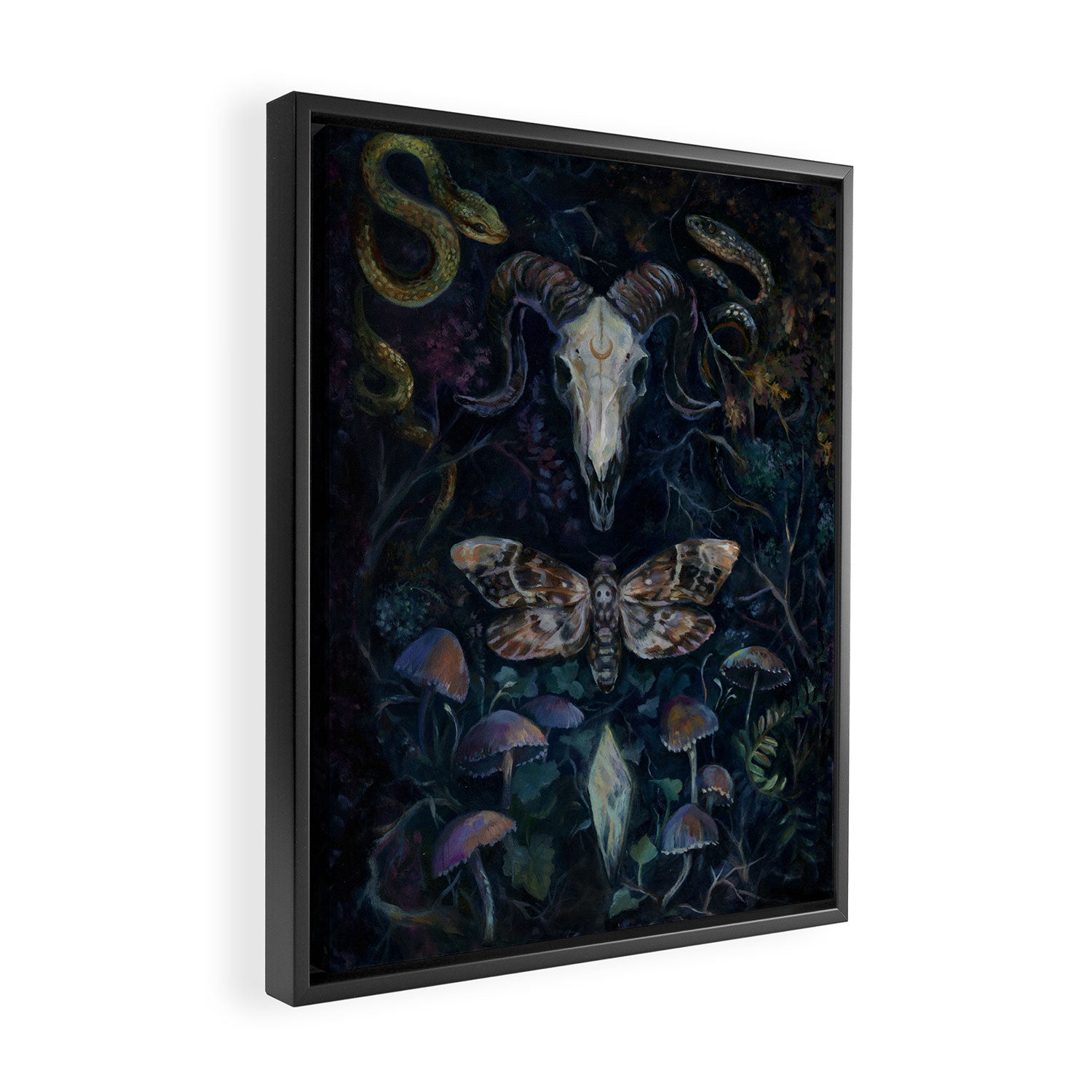 Death Moth Goat Skull Framed Canvas Print Gallery Image 2