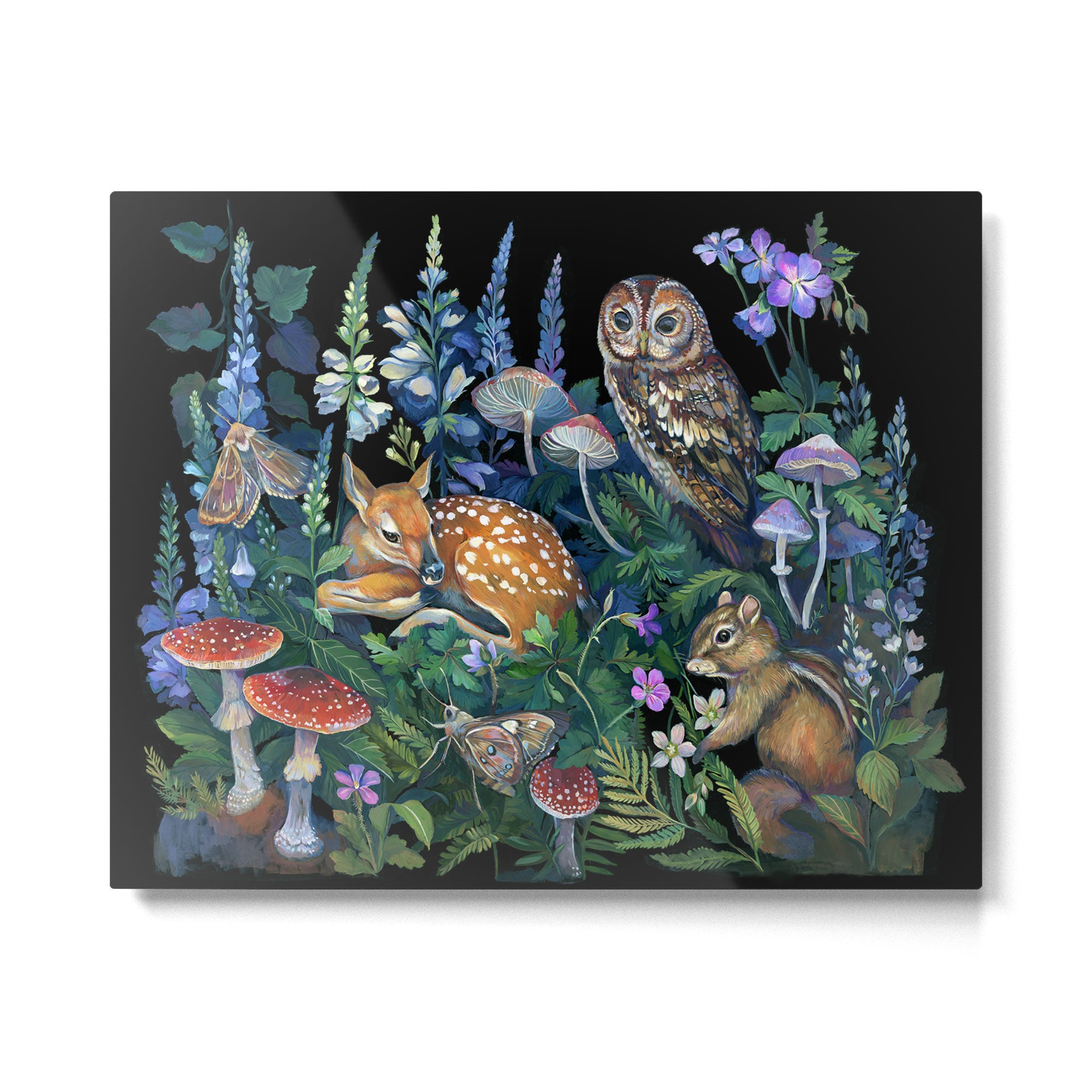 Enchanted Forest Metal Print Gallery Image 6