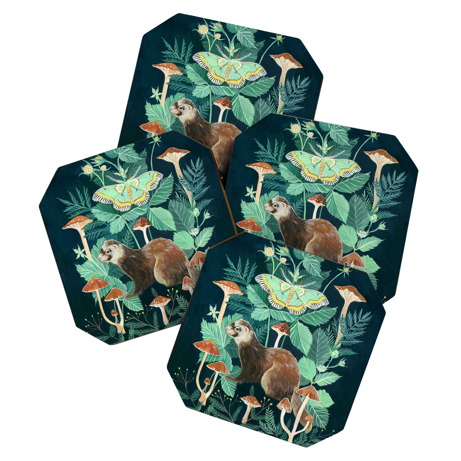 Ferret and Moth Coaster Gallery Image 1