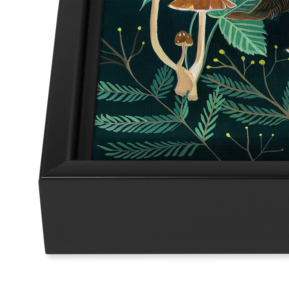 Ferret and Moth Framed Canvas Print Gallery Image 3