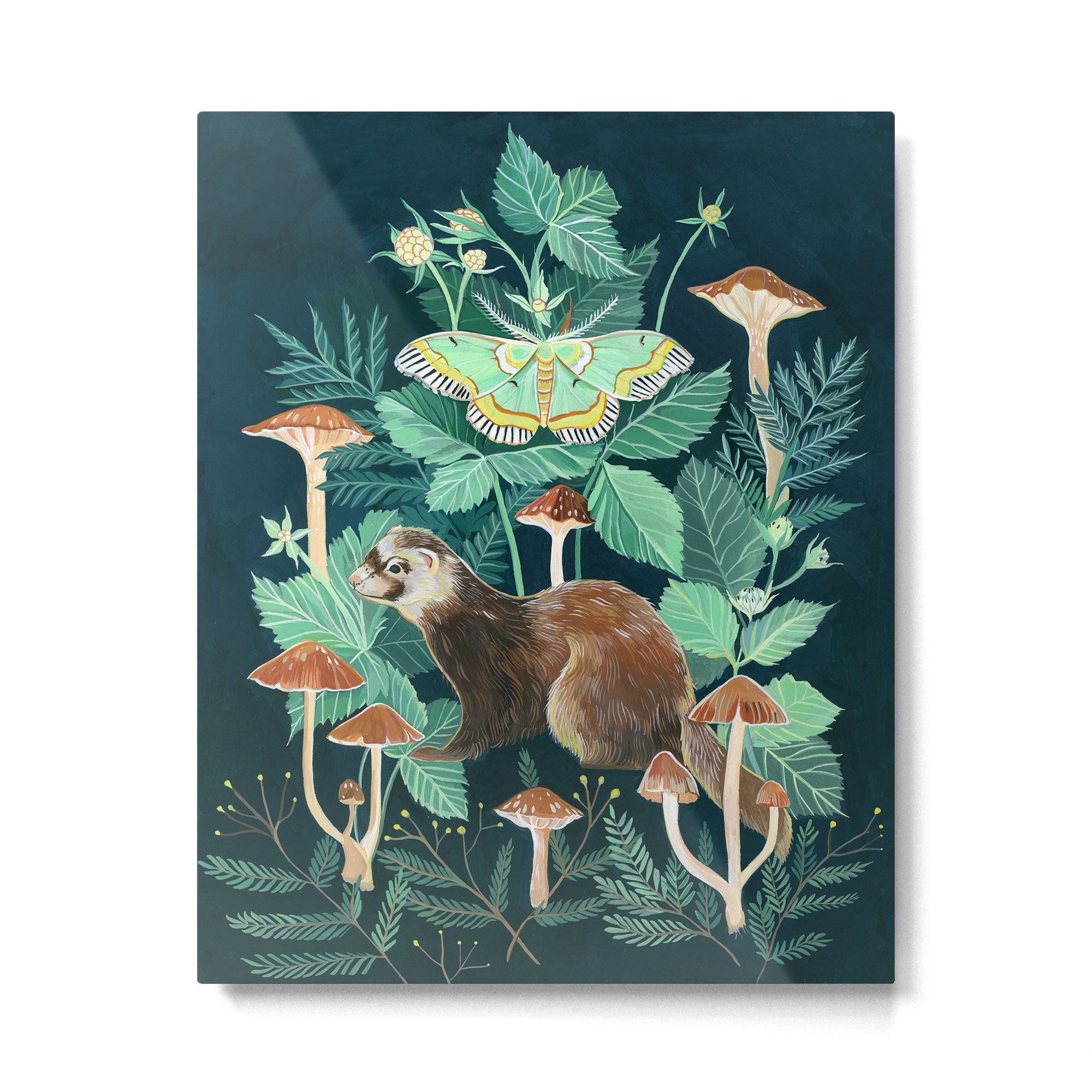 Ferret and Moth Metal Print Gallery Image 6