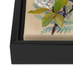 Floral Falcon Garden Framed Canvas Print Gallery Image 3