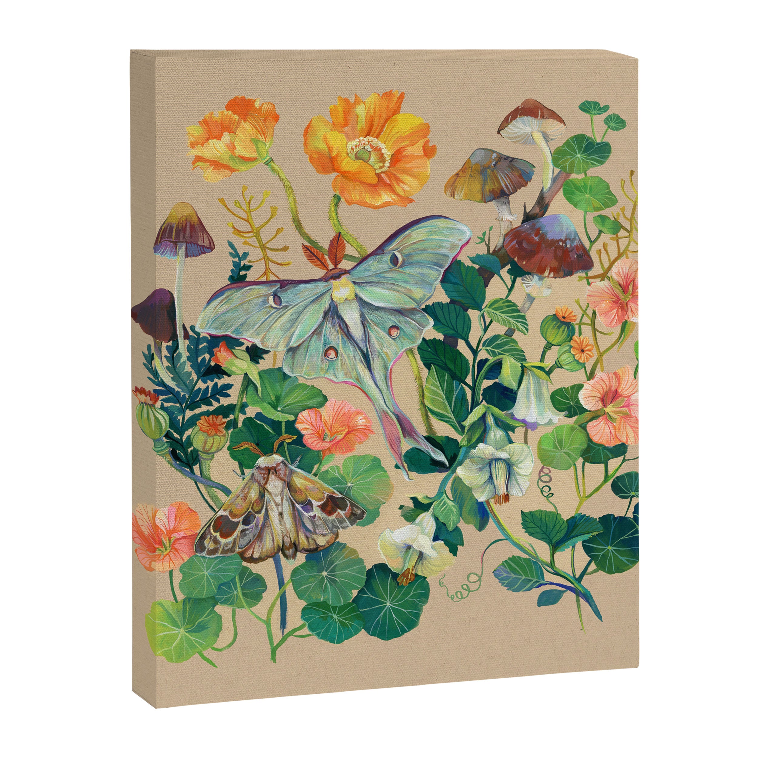 Floral Luna Moth Canvas Print Gallery Image 8