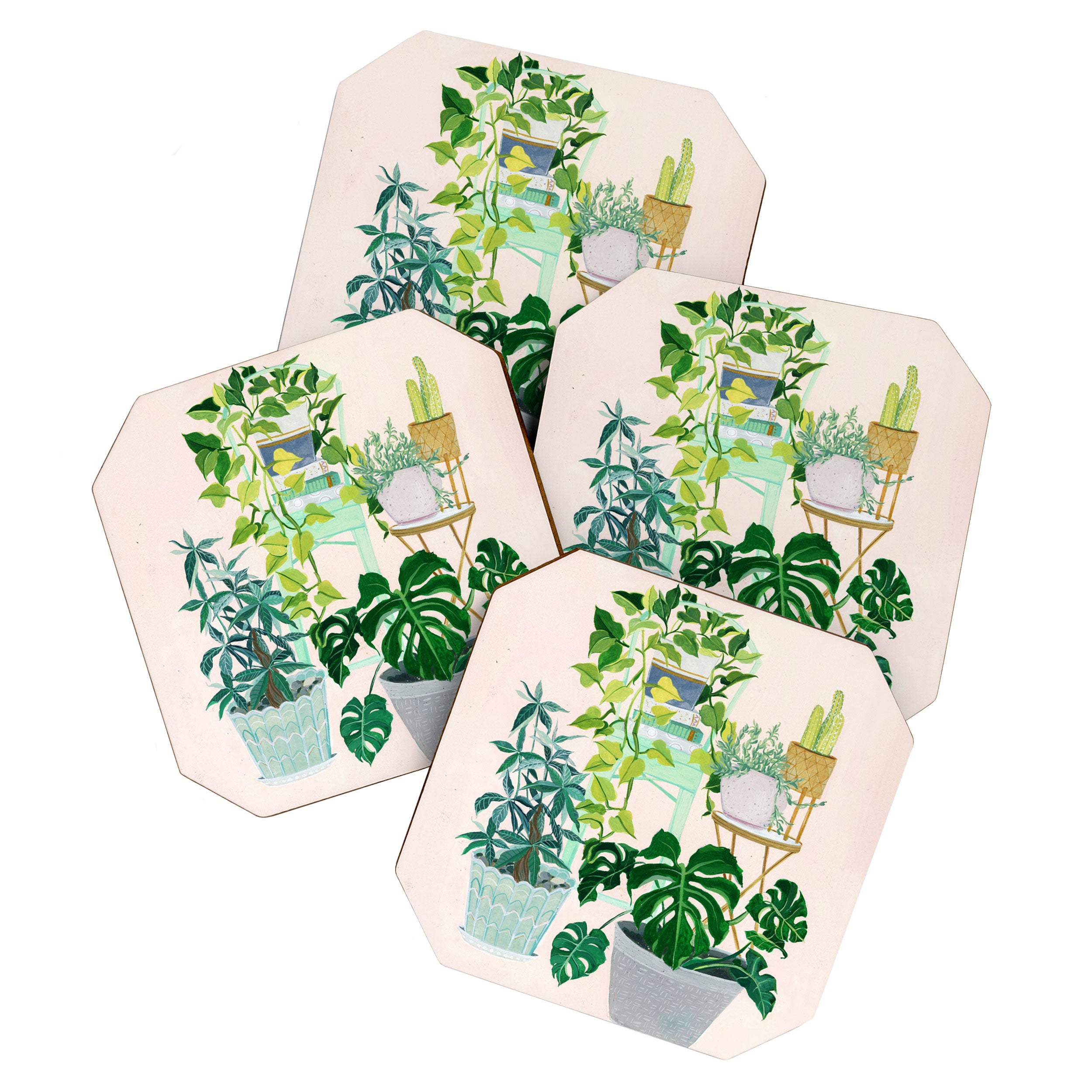 House plants Coaster Gallery Image 1