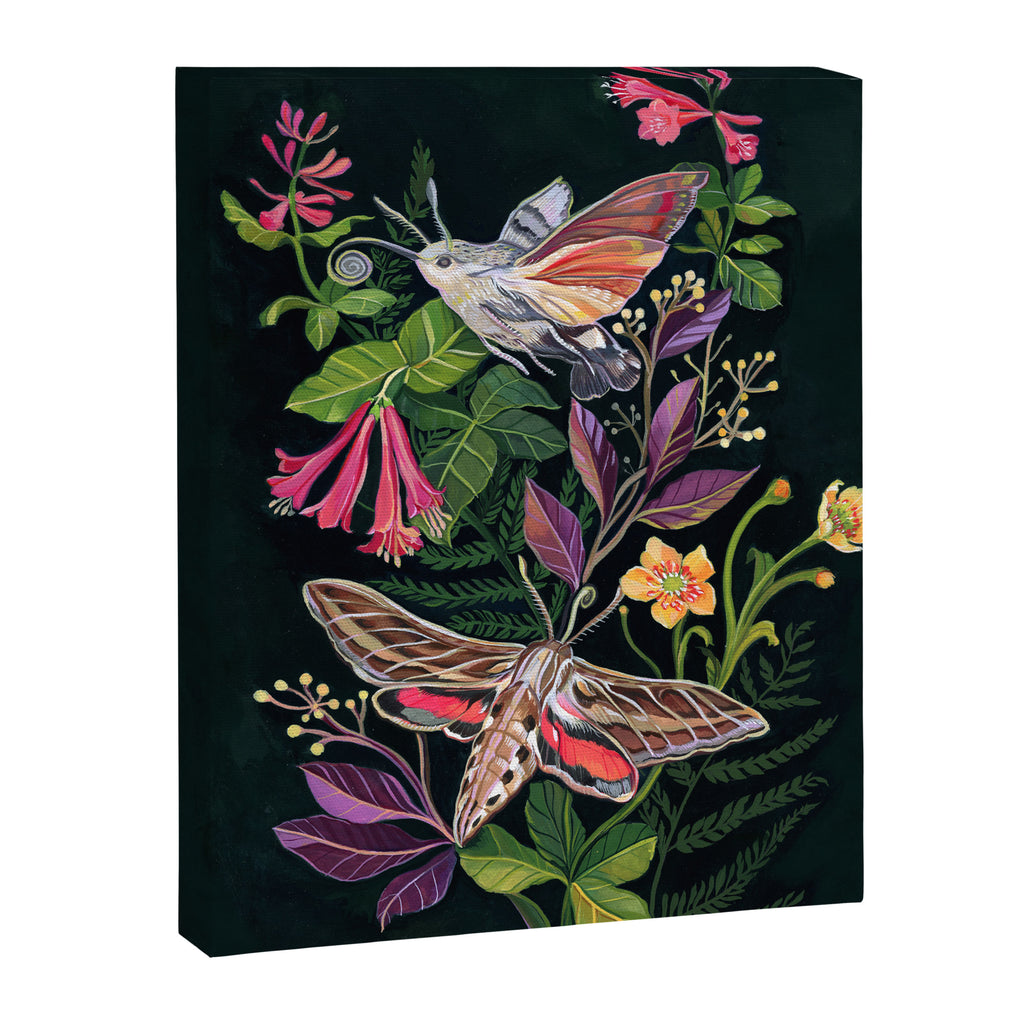 Hummingbird Moth Canvas Print Gallery Image 8
