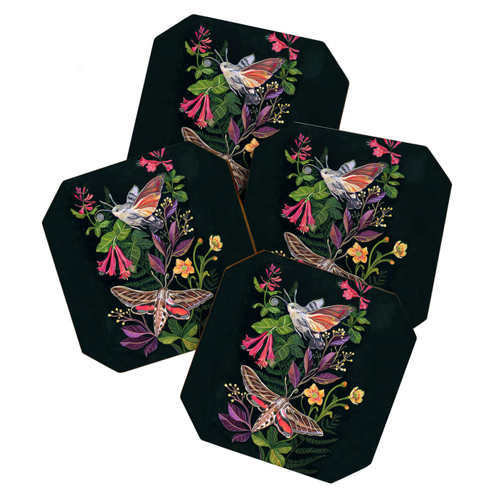 Hummingbird Moth Coaster Gallery Image 1