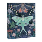 Luna Moth Canvas Print Gallery Image 6