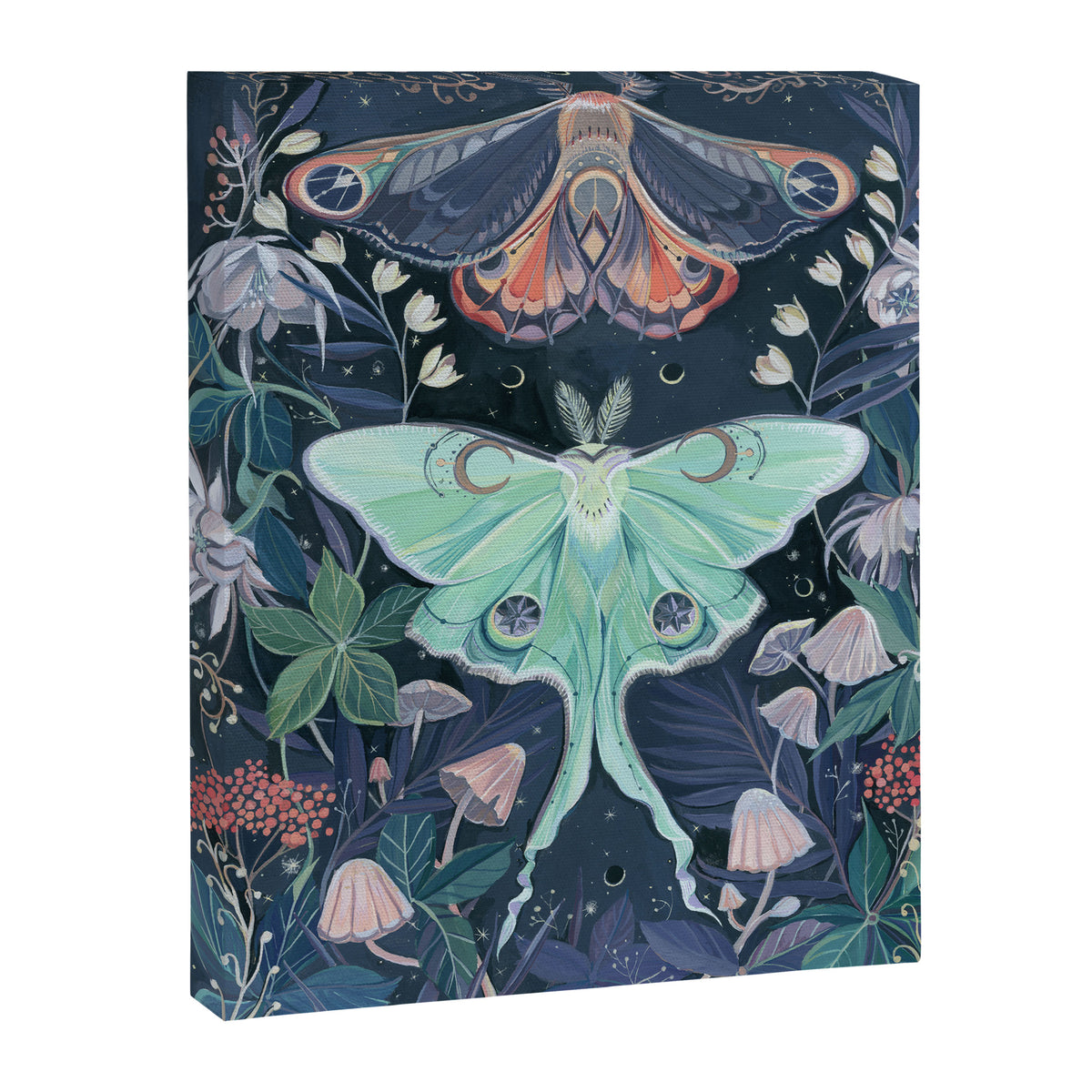 Luna Moth Canvas Print Gallery Image 6