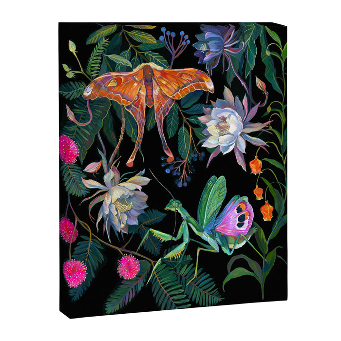 Mantis and Moth Cactus Flower Canvas Print Gallery Image 1