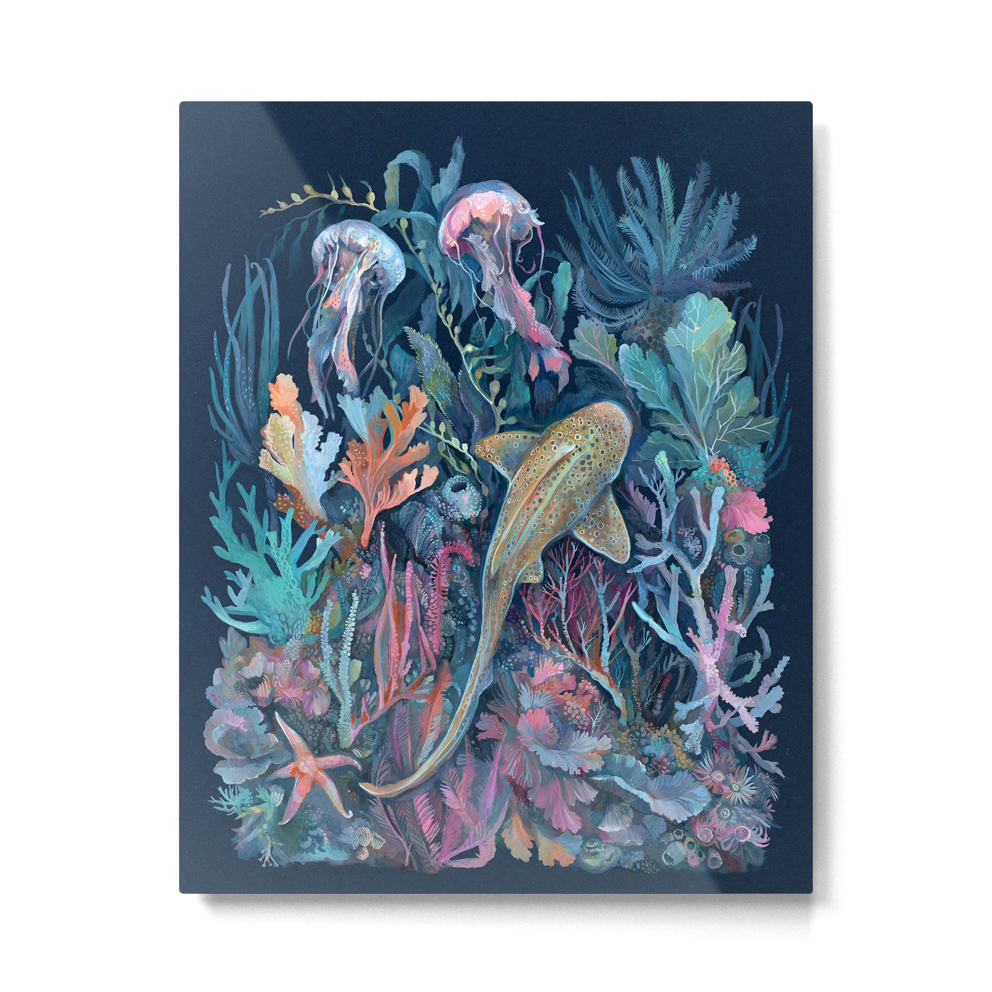 Marine Life Metal Print Gallery Image 6