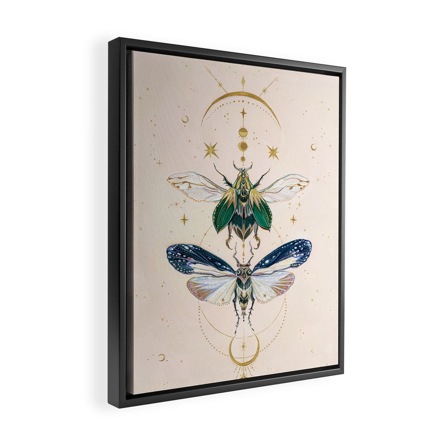 Moon insects Framed Canvas Print Gallery Image 2