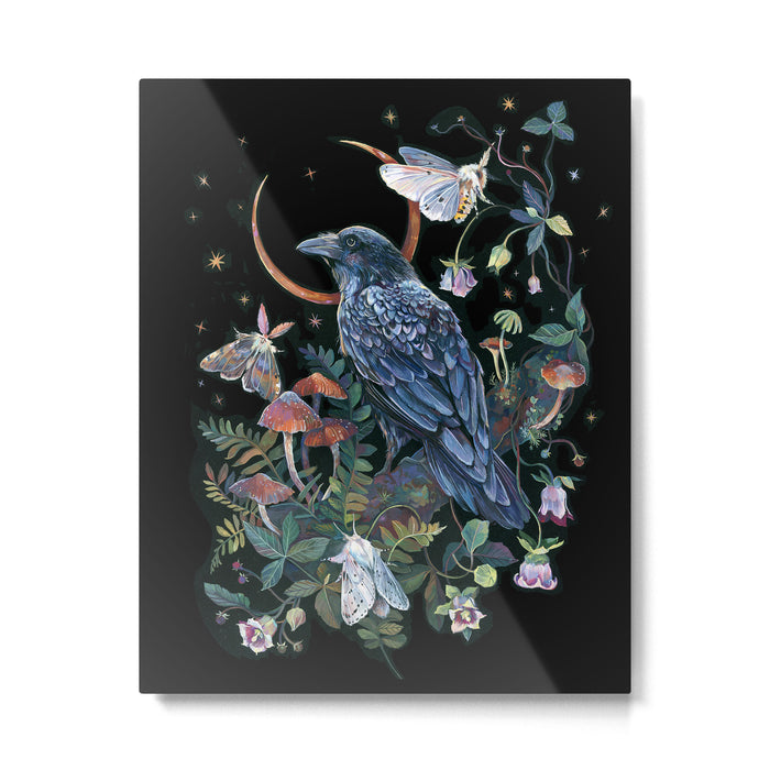 Moon Raven  Metal Print Gallery Image 1
