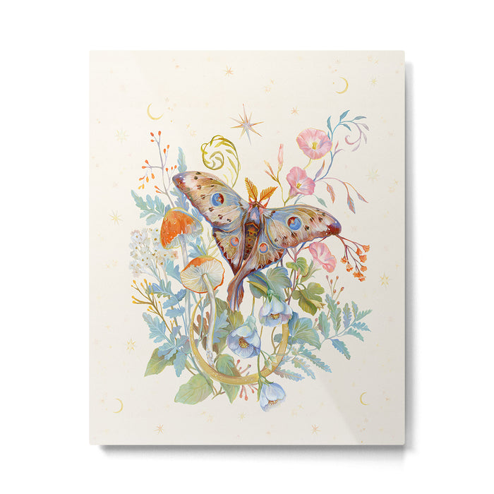 Moth and Moonflowers Metal Print Gallery Image 1