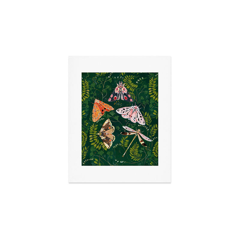 Moths and dragonfly Art Print Gallery Image 1
