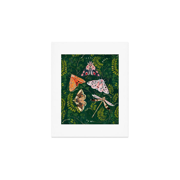 Moths and dragonfly Art Print Gallery Image 1