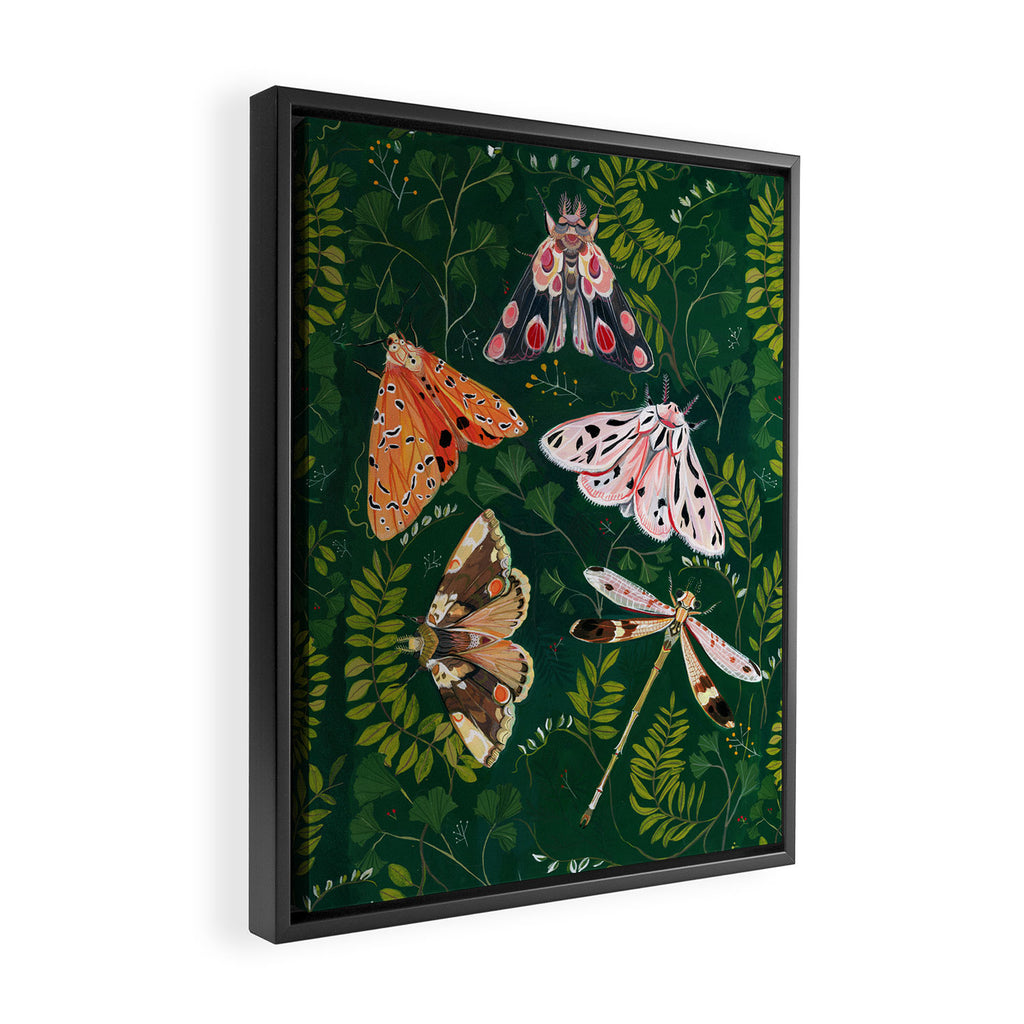 Moths and dragonfly Framed Canvas Print Gallery Image 2
