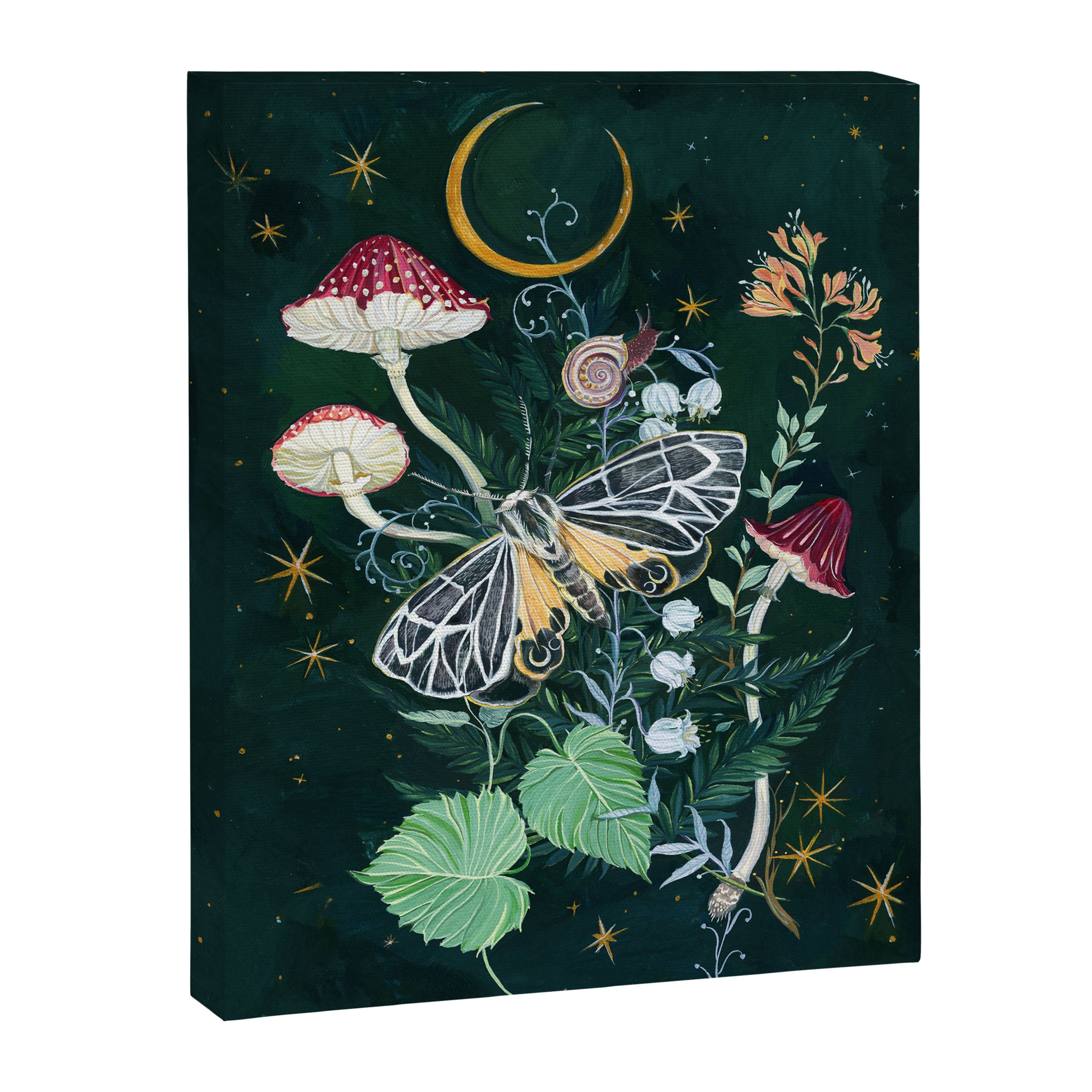 Mushroom night moth Canvas Print Gallery Image 6