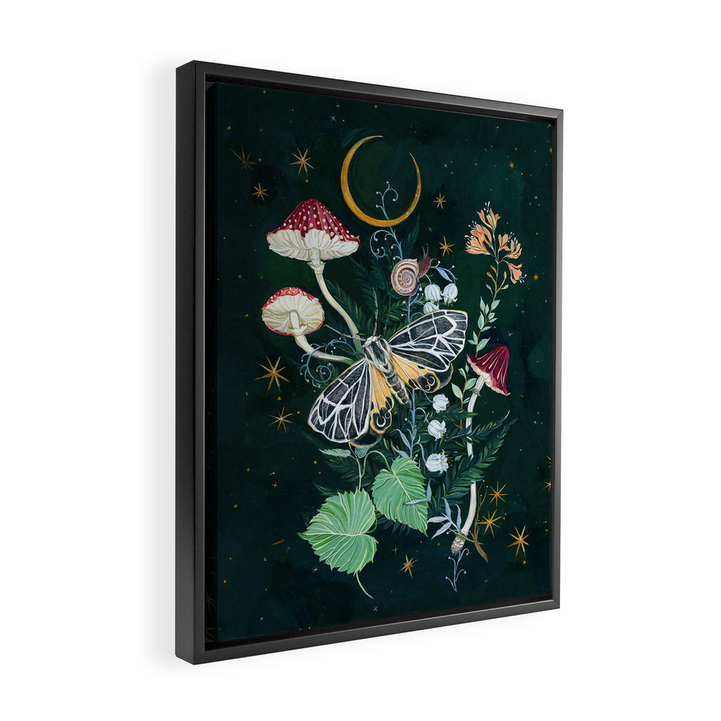 Mushroom night moth Framed Canvas Print Gallery Image 2