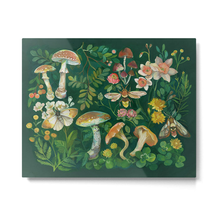 Mushrooms Dandelion Garden Metal Print Gallery Image 1