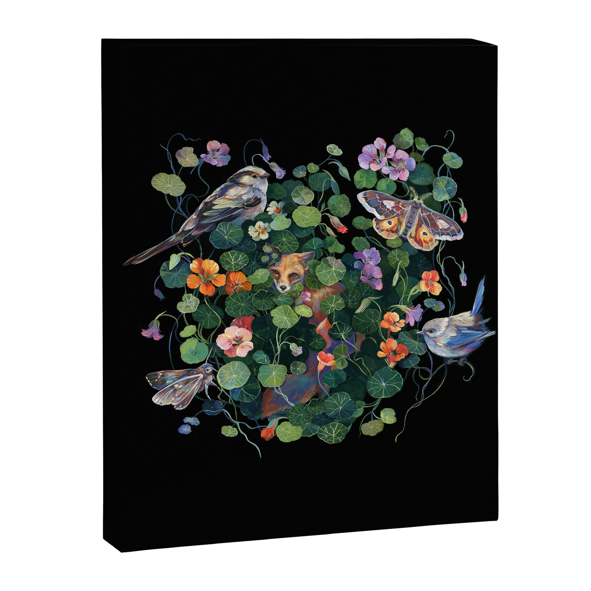 Nasturtium Fox Garden Canvas Print Gallery Image 8