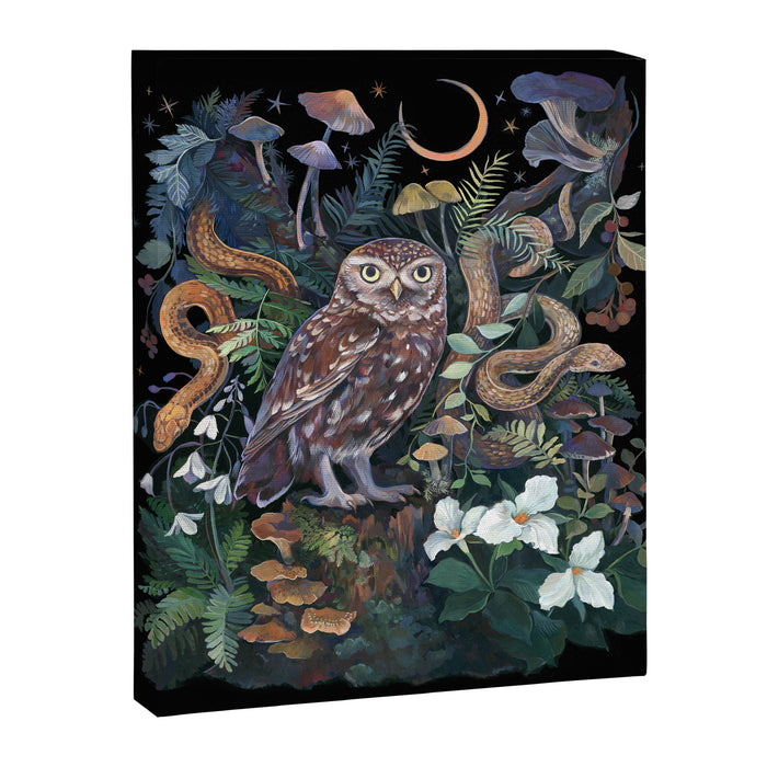 Owl and Snakes Mushroom forest Canvas Print Gallery Image 1
