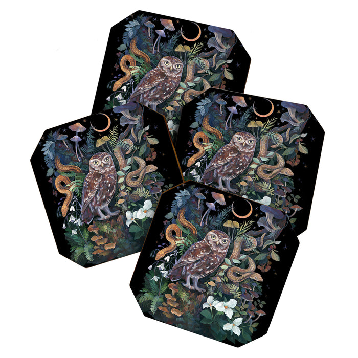 Owl and Snakes Mushroom forest Coaster Gallery Image 1