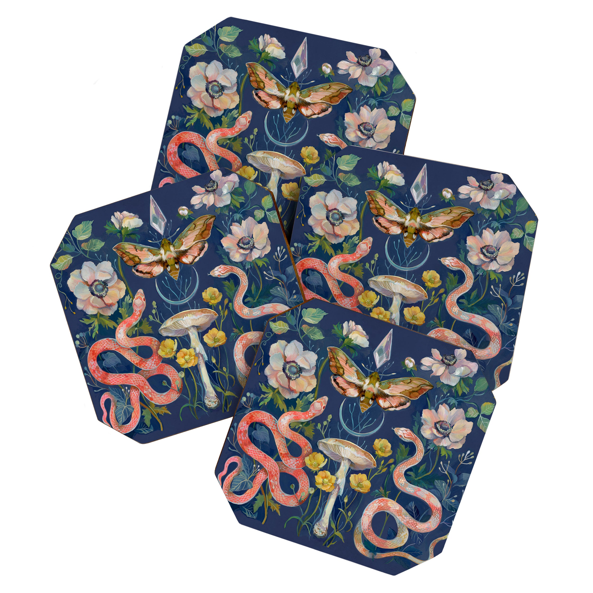 Snake Moth Mushroom  Coaster Gallery Image 1
