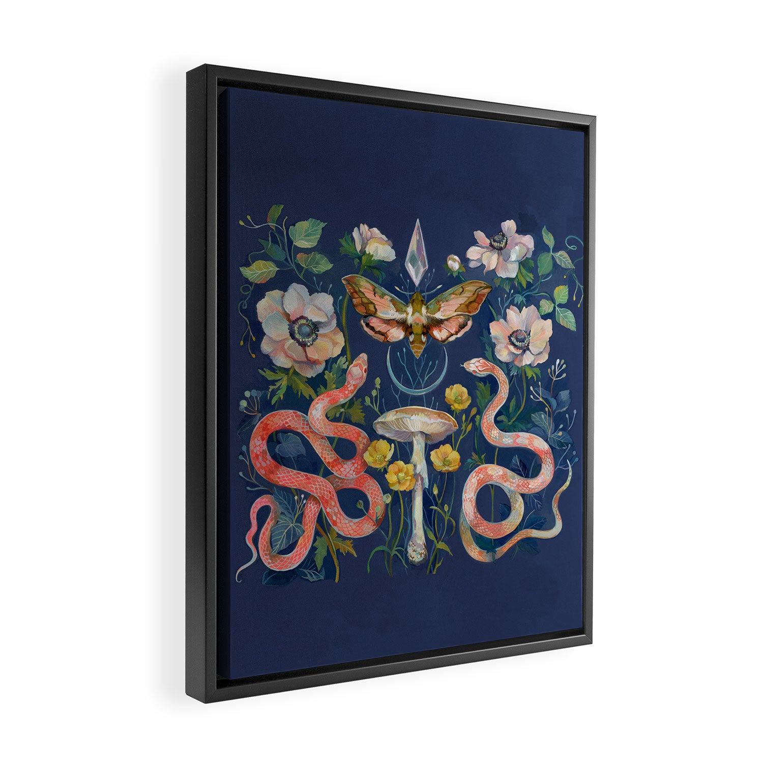 Snake Moth Mushroom  Framed Canvas Print Gallery Image 2