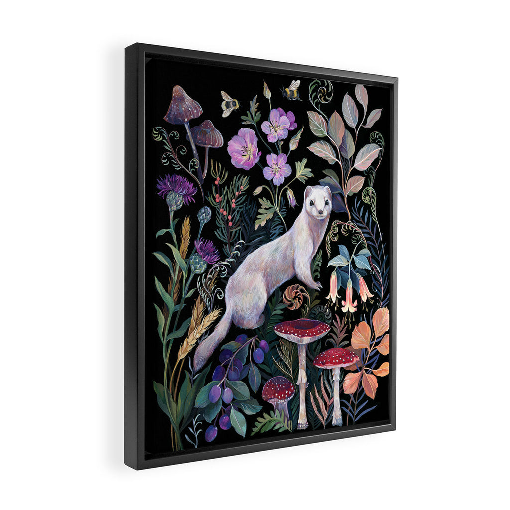 White Ermine Framed Canvas Print Gallery Image 2
