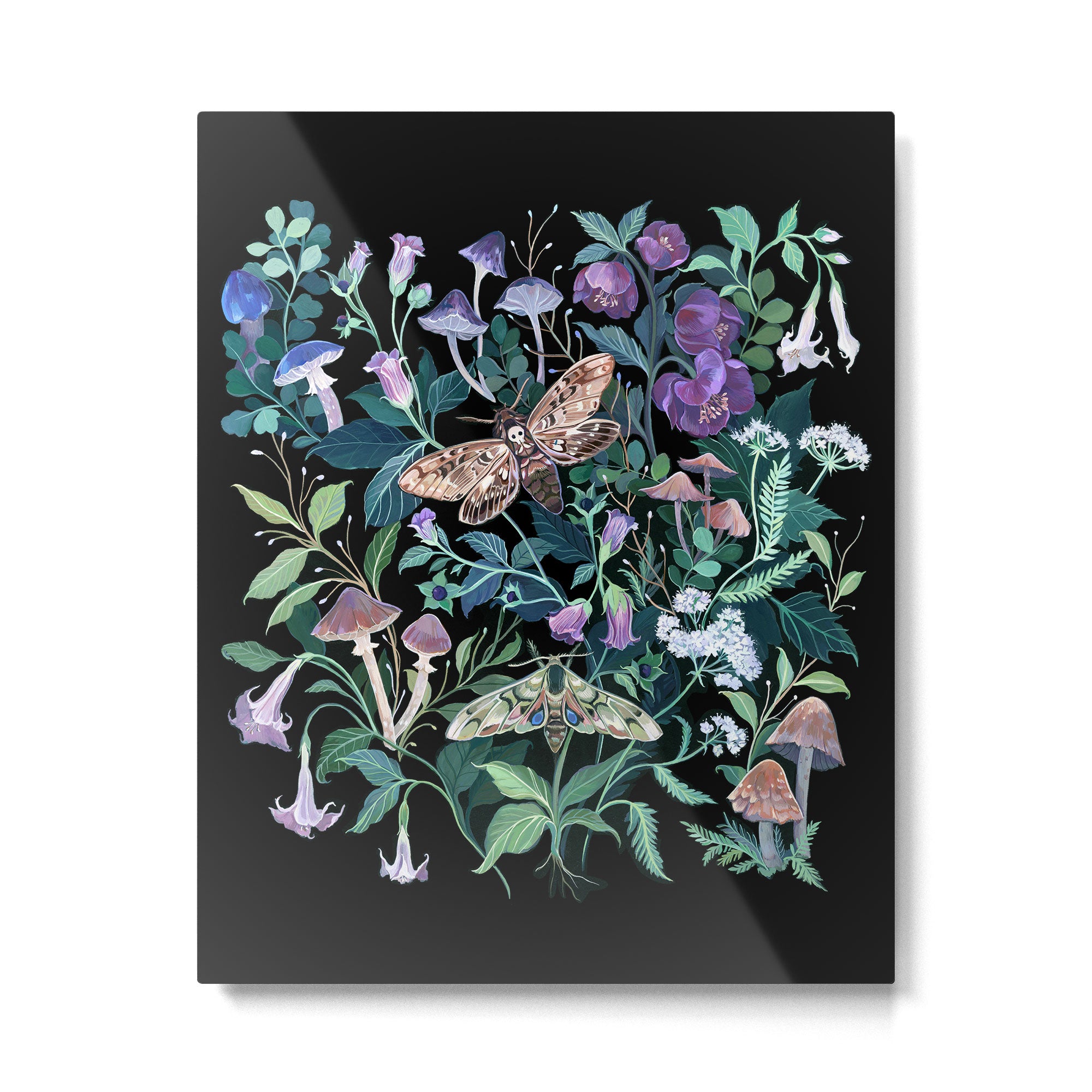 Witches Garden Metal Print Gallery Image 6