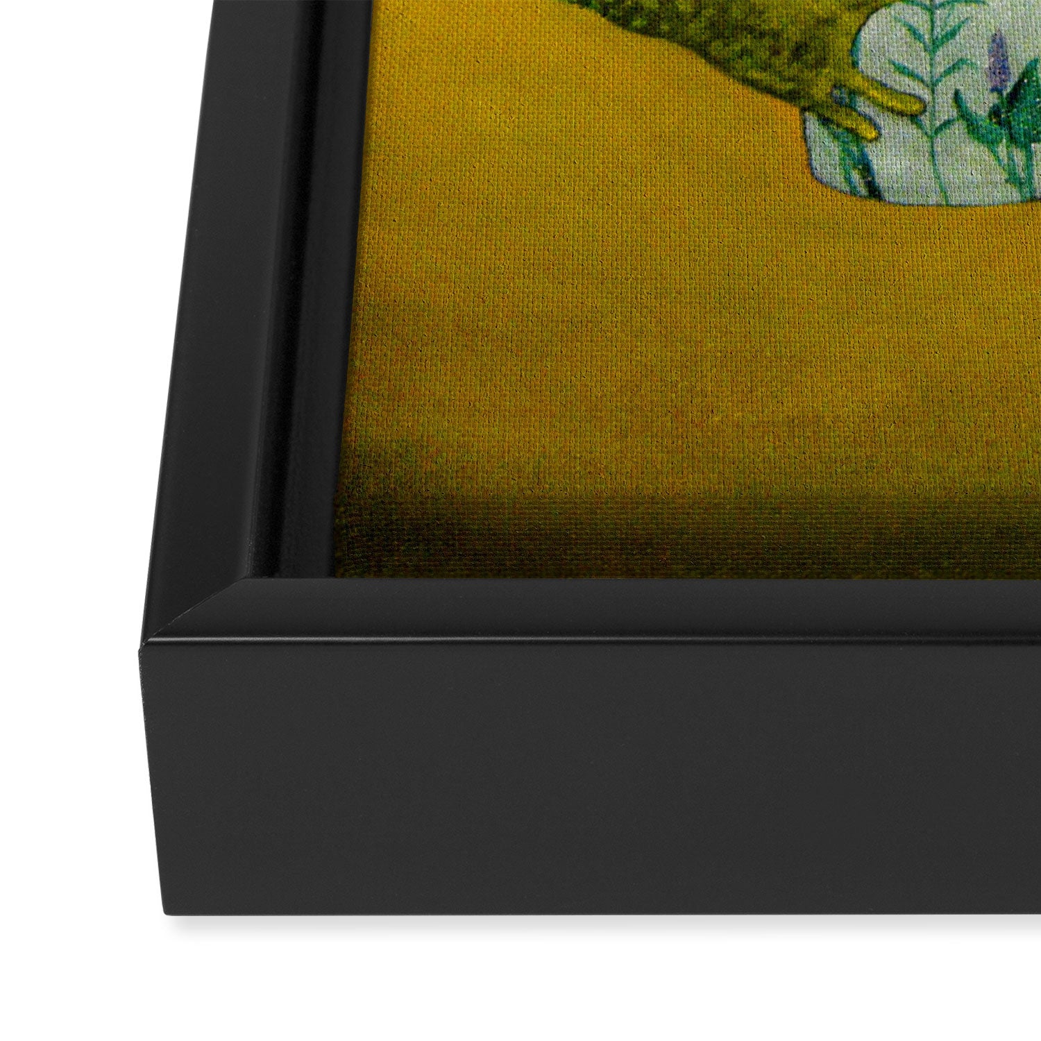 Toad's morning cup Framed Canvas Print Gallery Image 3
