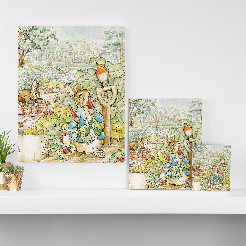 Peter the rabbit  Canvas Print Gallery Image 3
