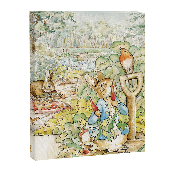 Peter the rabbit  Canvas Print Gallery Image 1